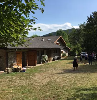 Foto annuncio 10