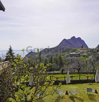 Foto annuncio 8