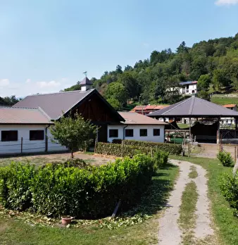 Foto annuncio 5