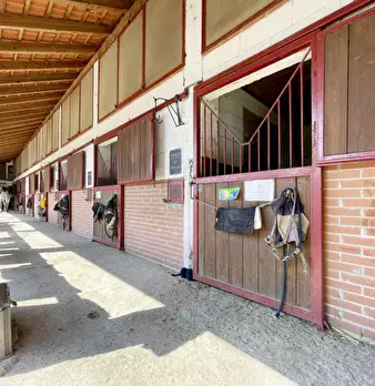 Foto annuncio 28