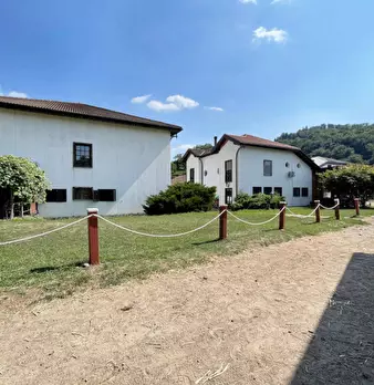 Foto annuncio 33