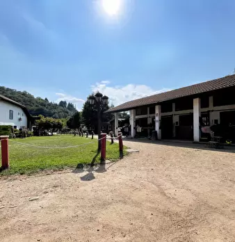 Foto annuncio 34