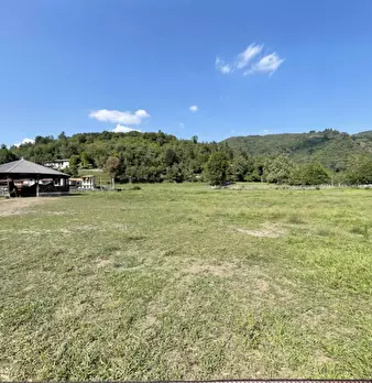 Foto annuncio 46