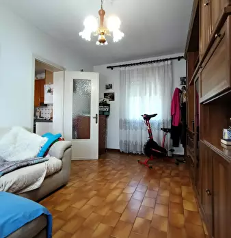 Foto annuncio 12