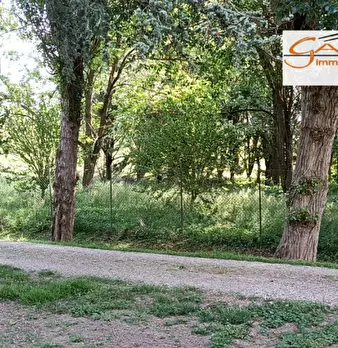 Foto annuncio 30