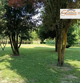 Foto annuncio 32
