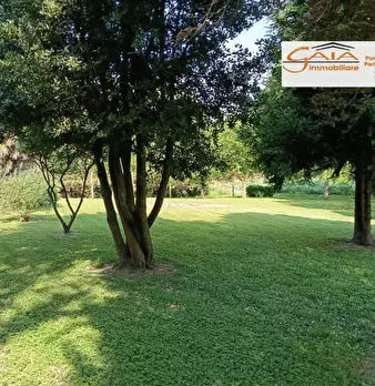 Foto annuncio 33