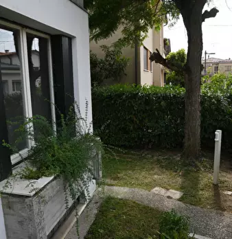 Foto annuncio 31