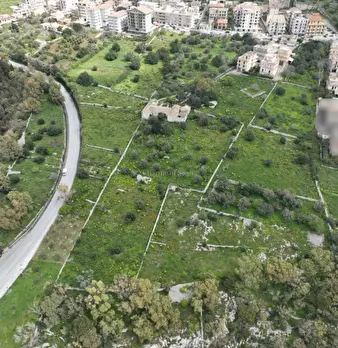 Foto annuncio 3