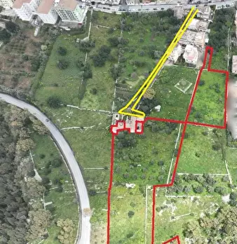 Foto annuncio 4