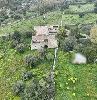 Foto annuncio 9