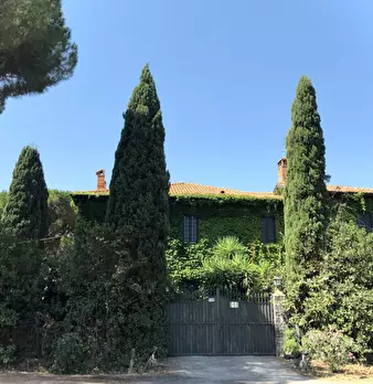 Foto annuncio 5