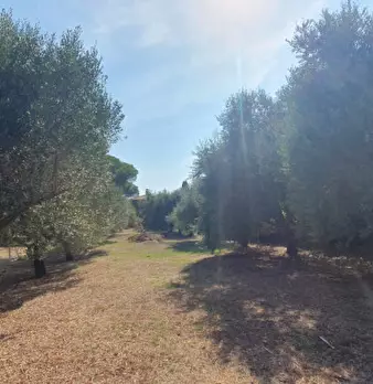Foto annuncio 39
