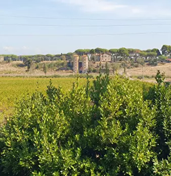 Foto annuncio 41