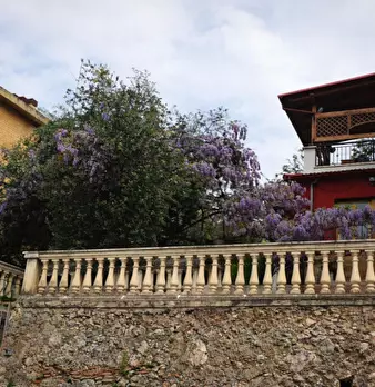Foto annuncio 6