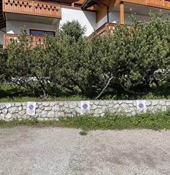 Foto annuncio 7