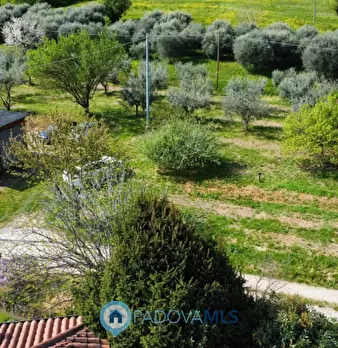 Foto annuncio 31