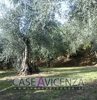 Foto annuncio 13