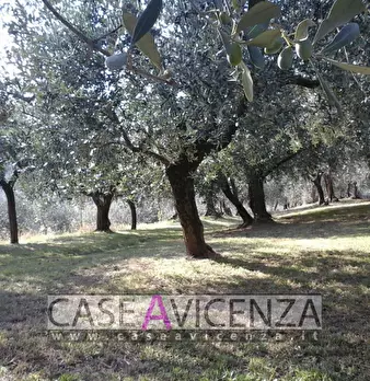 Foto annuncio 14