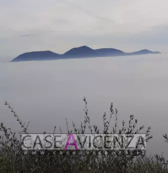 Foto annuncio 17