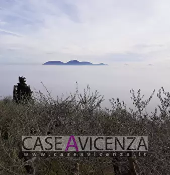 Foto annuncio 19