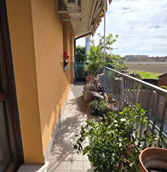 Foto annuncio 9