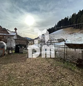 Foto annuncio 50