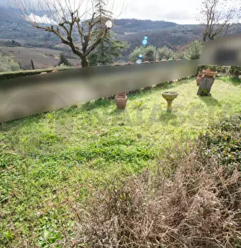 Foto annuncio 19