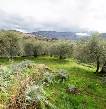 Foto annuncio 20