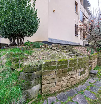 Foto annuncio 31