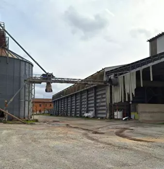 Foto annuncio 7