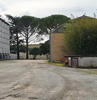 Foto annuncio 13