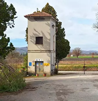 Foto annuncio 15