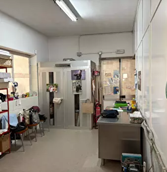 Foto annuncio 11