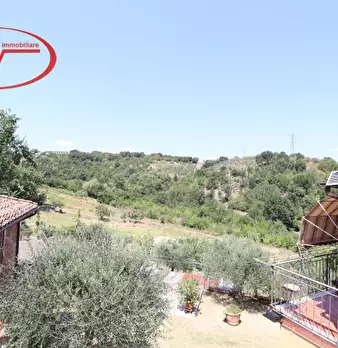 Foto annuncio 44