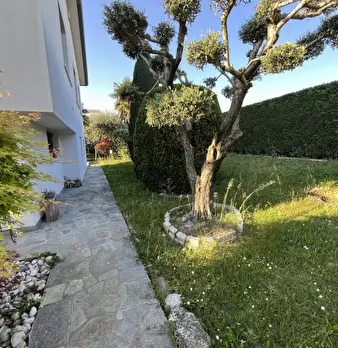 Foto annuncio 18