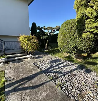 Foto annuncio 20