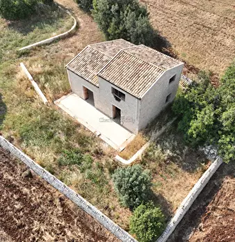 Foto annuncio 6