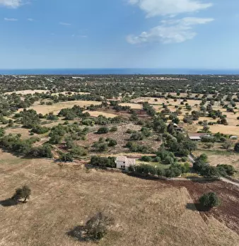 Foto annuncio 7