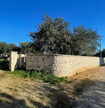 Foto annuncio 13