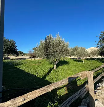 Foto annuncio 14