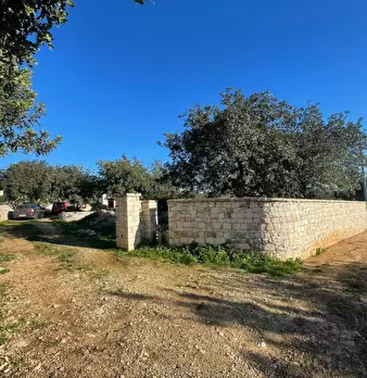 Foto annuncio 17