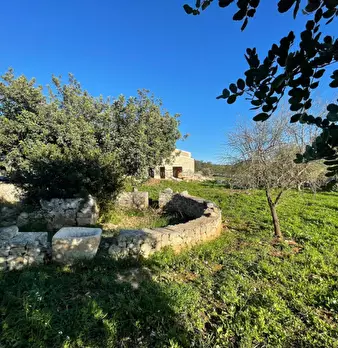 Foto annuncio 18