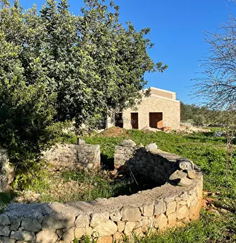 Foto annuncio 19