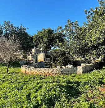 Foto annuncio 21