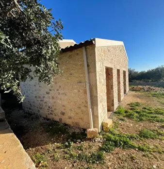 Foto annuncio 22