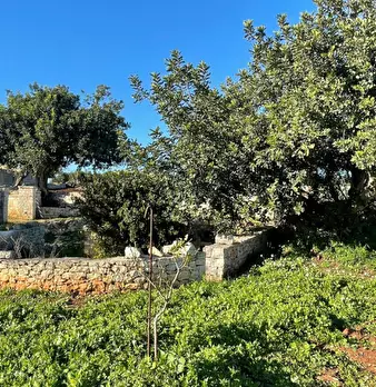 Foto annuncio 25