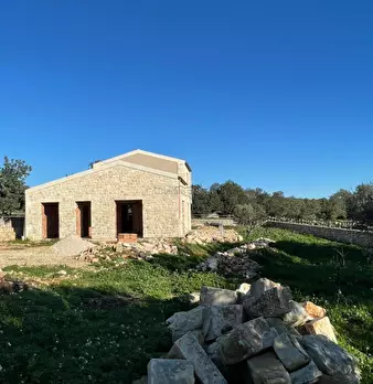Foto annuncio 26
