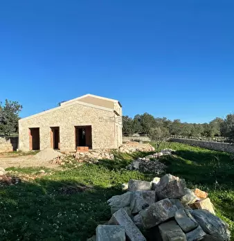 Foto annuncio 29