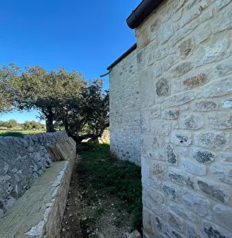 Foto annuncio 35